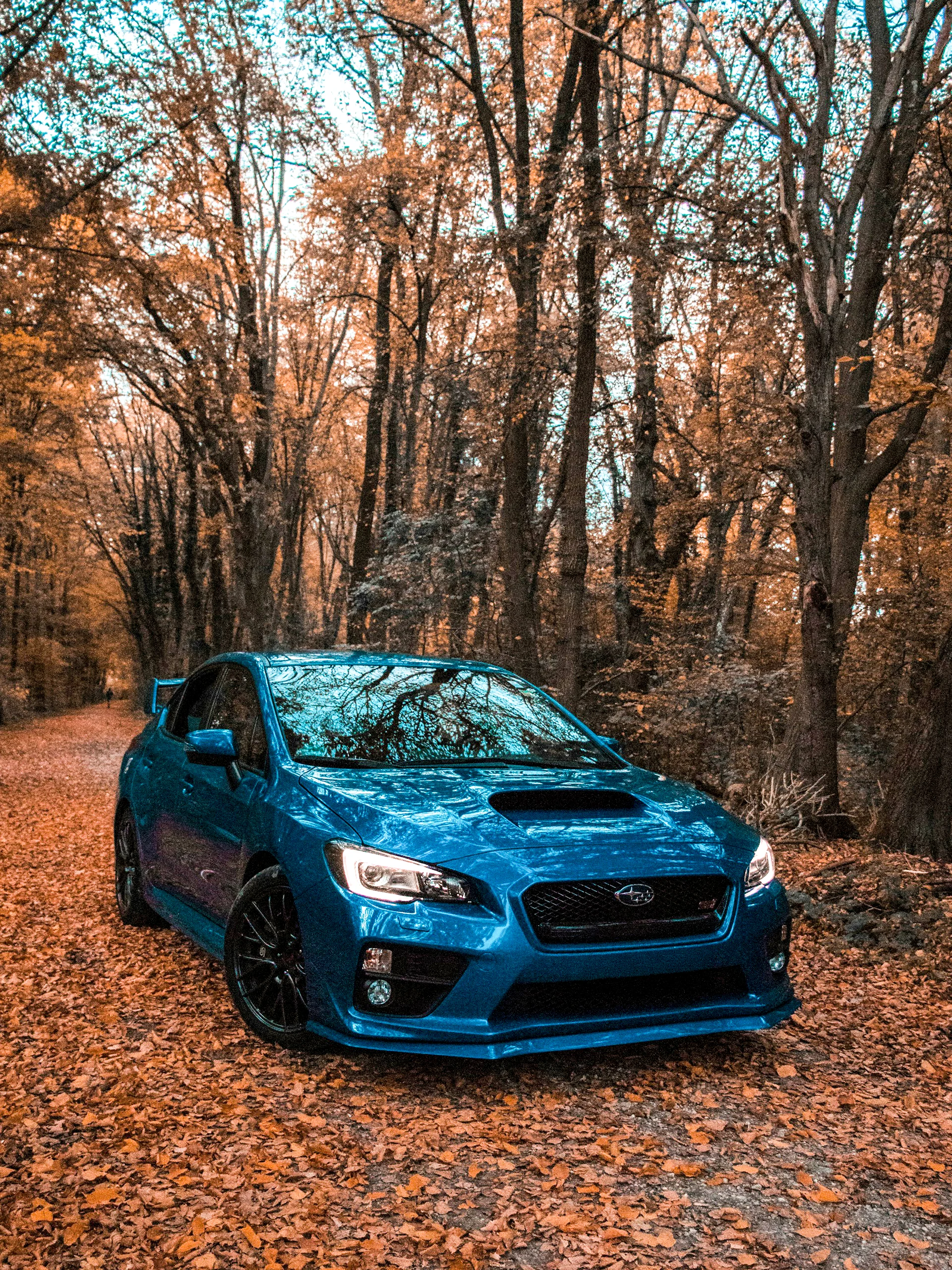 Blue Subaru sedan parked on a wooded road covered with fallen leaves.